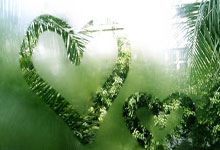 南宫娱乐-新西兰击败摩洛哥晋级女子橄榄球半决赛！